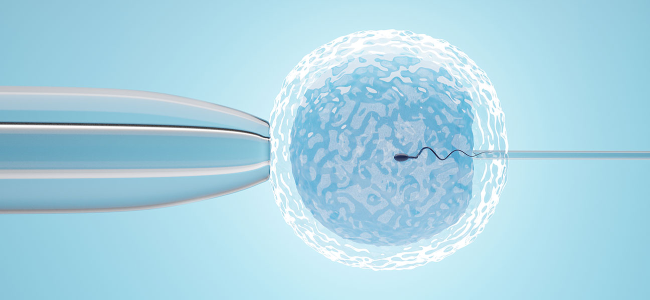Fertility & IVF
